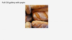 CSS Photo Gallery