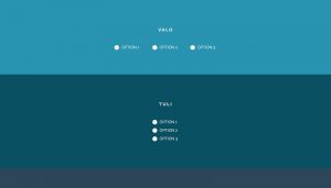 Css Radio Button Inspiration