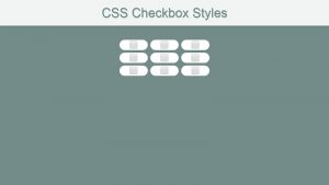 Quick CSS Checkbox styles