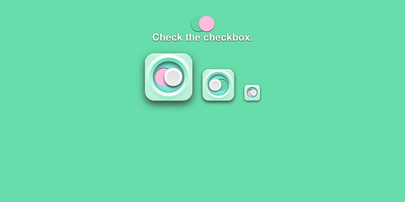 CSS Checkboxes