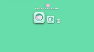 Stylish Checkbox