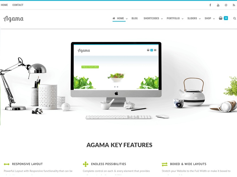 Agama: portfolio wordpress themes free