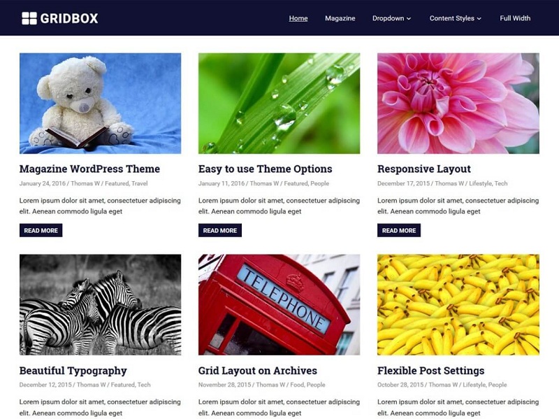 Gridbox: free portfolio themes wordpress