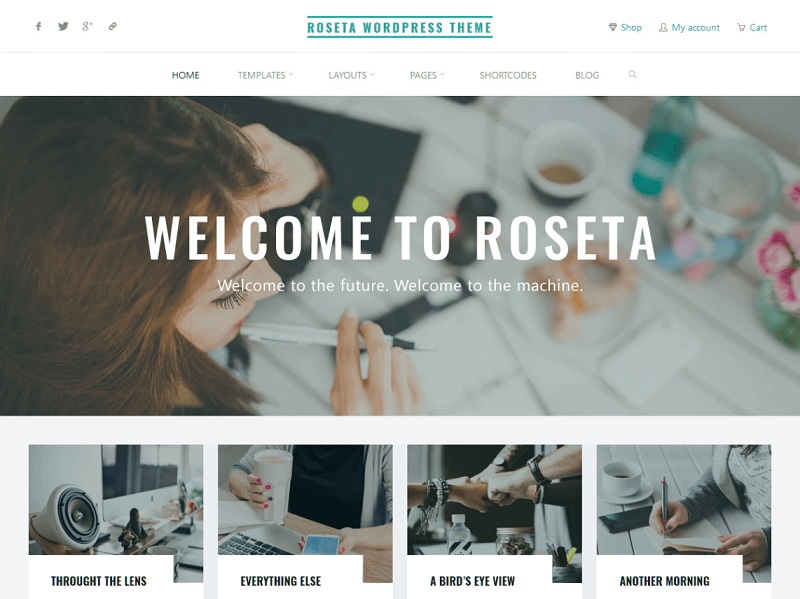 Roseta: wordpress free portfolio themes