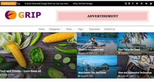 Free Magazine WordPress Themes
