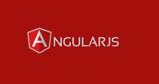 Angular JS Beginner