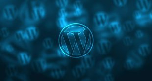 Reasons Why WordPress Is Perfect For Small Businesses