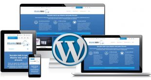 How To Get Started With A WordPress Website