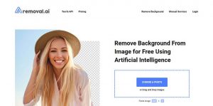 Removal.AI