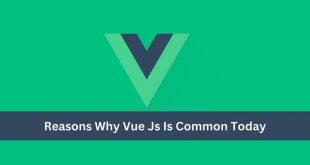 Reasons Why Vue Js Is Common Today