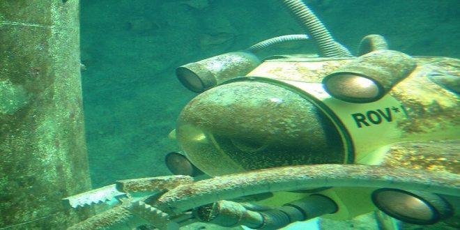 Rise of Underwater Robots
