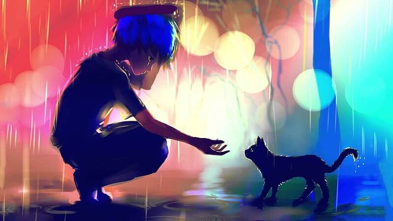 Anime boy, raining, sad expression, cat, profile view, Anime, HD wallpaper