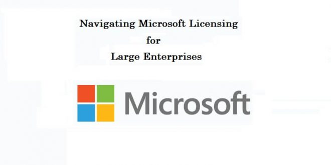 Microsoft Licensing for Large Enterprises