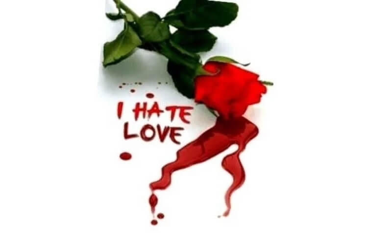 I Hate Love Pic