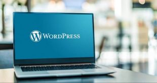 Stunning WordPress Themes