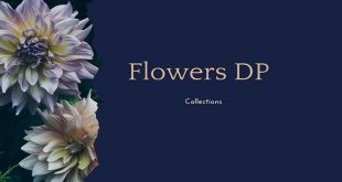 Flowers DP