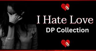 I Hate Love DP