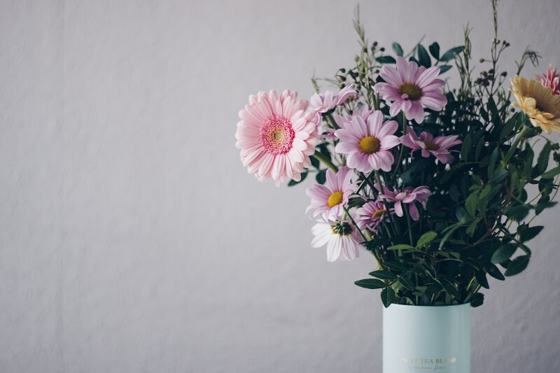 Pink Flowers in White Vase