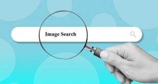 Online Image Search