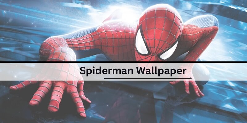 Spiderman Wallpaper