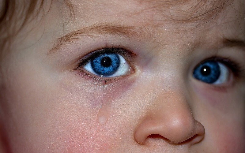 Children's eyes, Eyes, Blue eyes image