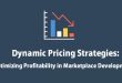 Dynamic Pricing Strategies