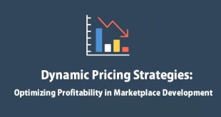 Dynamic Pricing Strategies