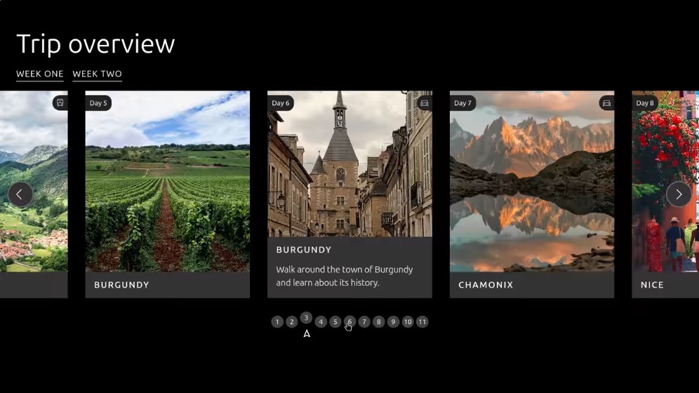 Trip Overview