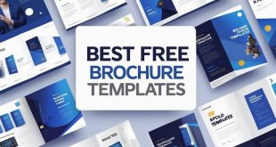 Best Free Brochure Templates