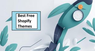 Best Free Shopify Themes