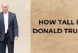 How Tall Is Donald Trump